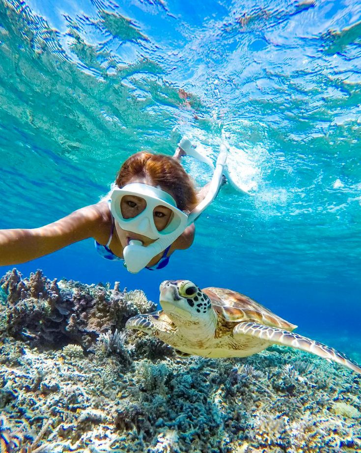 Snorkling Bali In Blue Lagoon With Lunch 