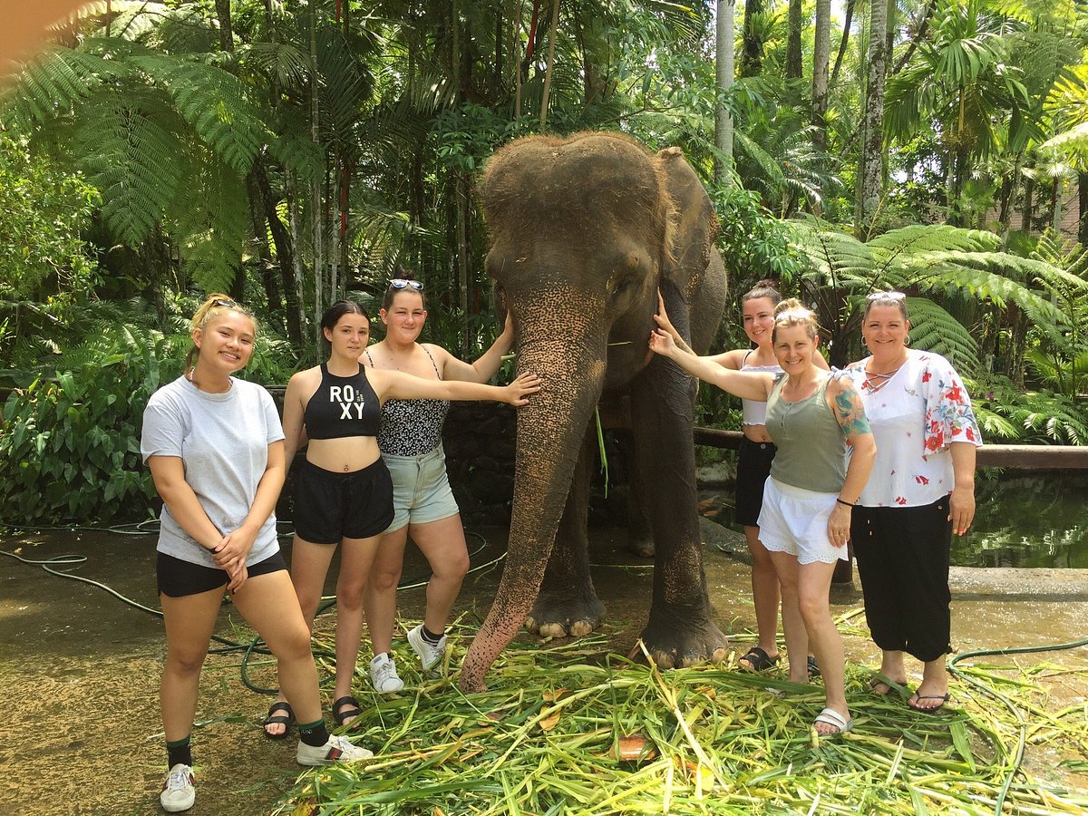 COSTUMES TOUR (UBUD ATV QUAD BIKE & BALI SWING, ELEPHANT SANCTUARY, WATERFALL)