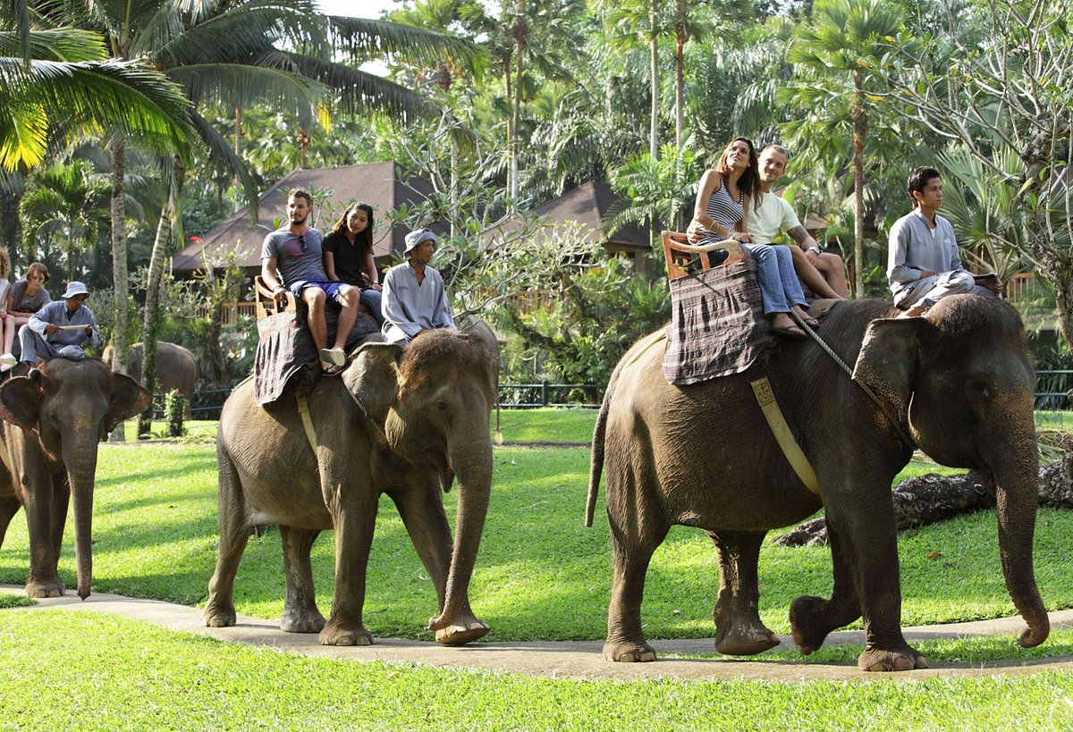 ELEPHANT SANCTUARY, BALI SWING AND HIDDEN WATERFALL 
