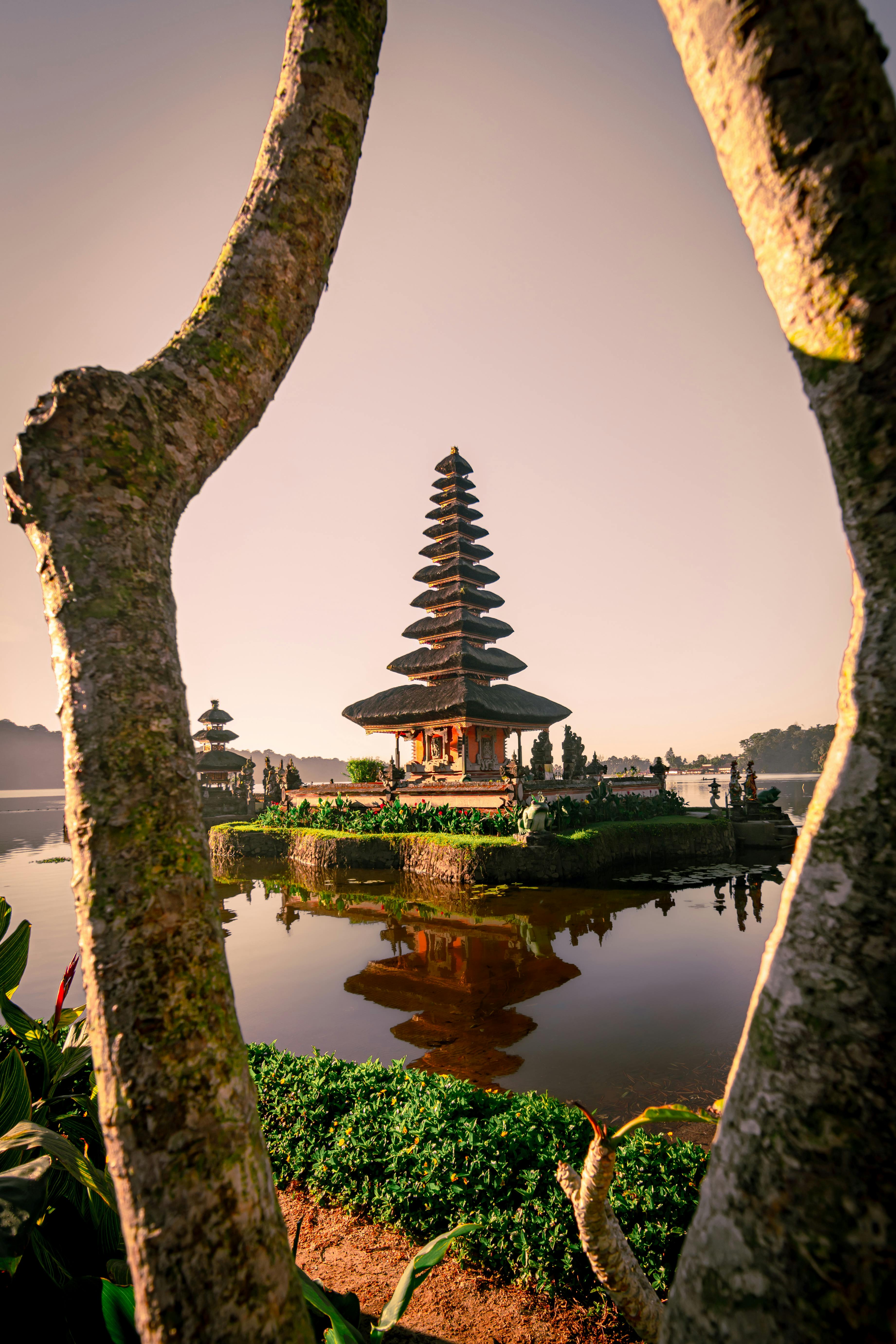 MEGICAL OF WEST BALI 