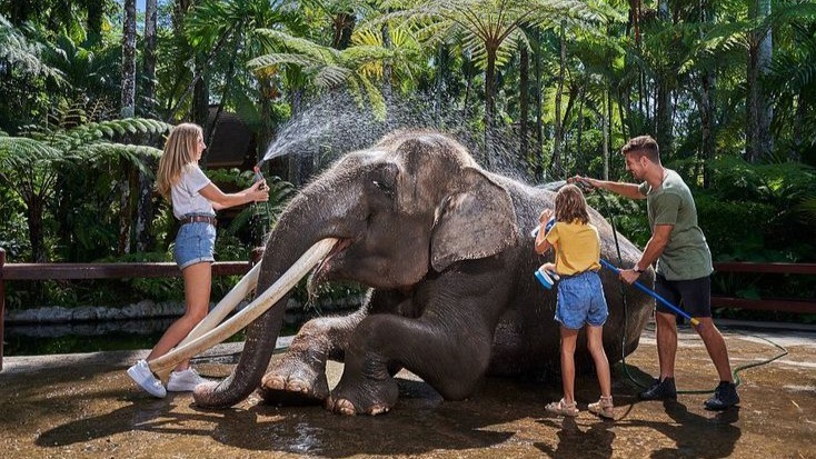 ELEPHANT SANCTUARY, BALI SWING AND HIDDEN WATERFALL 